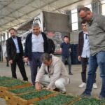 PHOTO-2025-10-28-14-49-05 3